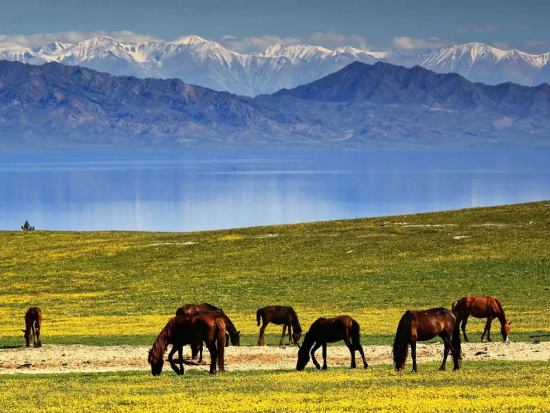 情感咨询：老公出轨了 老婆该怎么处理才是最好的？