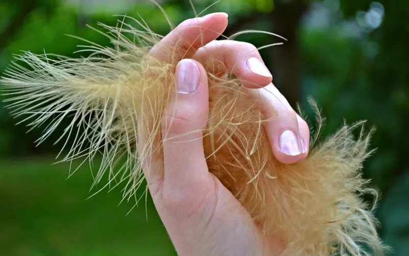 情感咨询：老公频繁给美女点赞，怎么挽回老公？