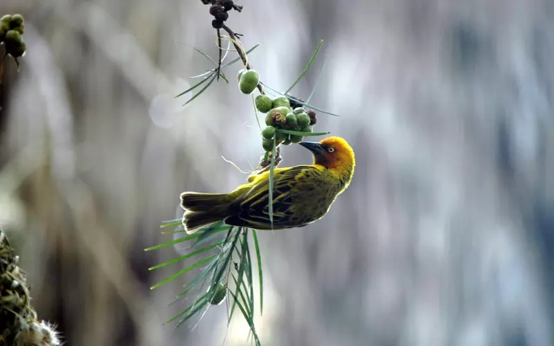 情感咨询：老公答应坐月子时照顾我又食言，我觉得难受怎么办