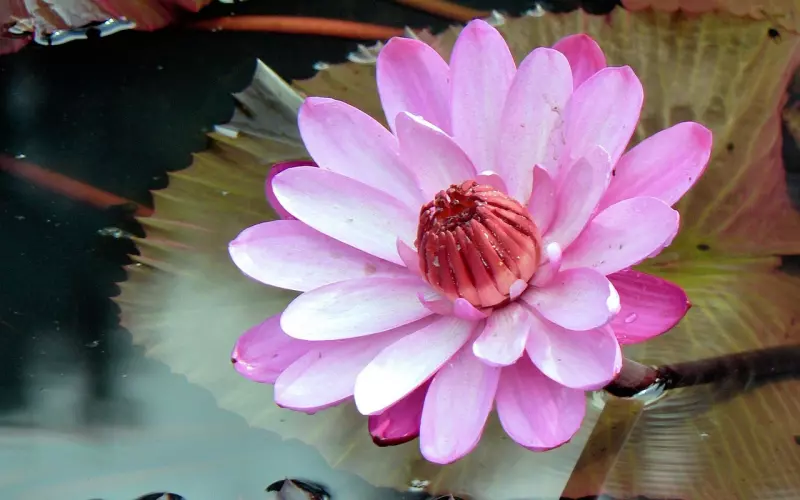 情感咨询：老公动不动就大吼大叫，我该如何改善我们的关系？