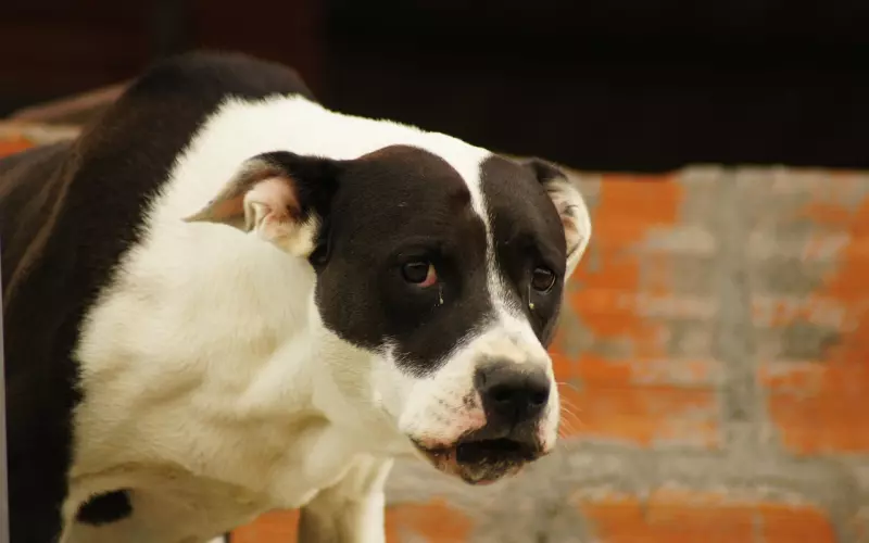 情感咨询：再婚老公对我很冷淡，我该如何挽回这段婚姻？