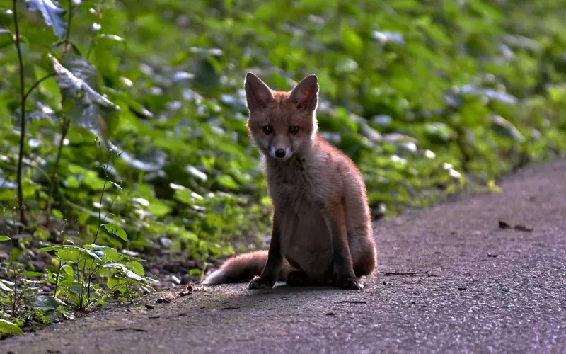 情感咨询：老婆老是偏袒她的家人，我该如何融入她的家庭呢？