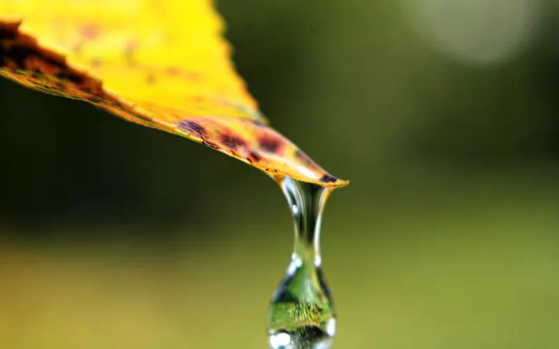 情感咨询：挽回男友只需要三步，让前男友重新爱上你