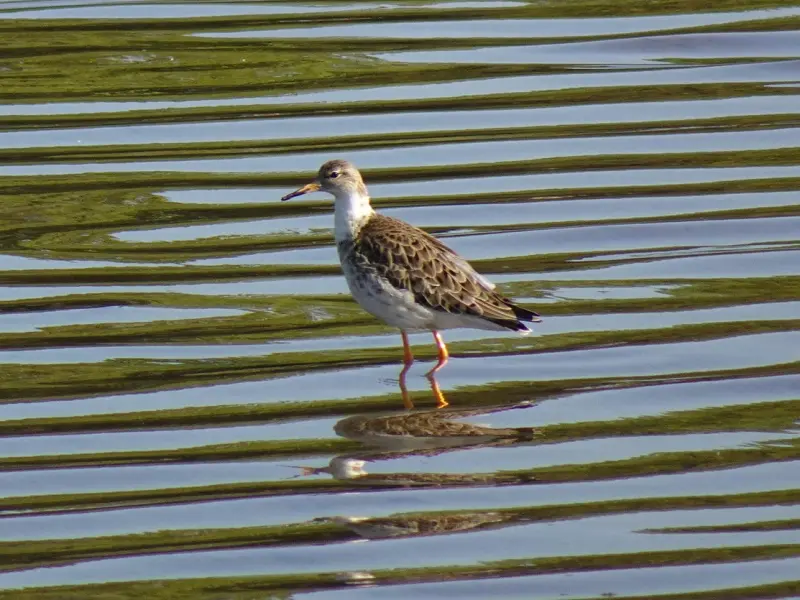 情感咨询：性格不合不应该成为分手的理由