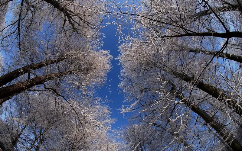 情感咨询立场：遇上“妈宝男”， 我的婚姻到底该怎么办？