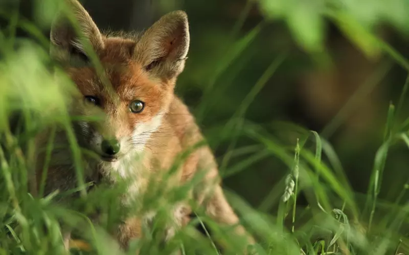 情感咨询：老公冷落老婆的原因