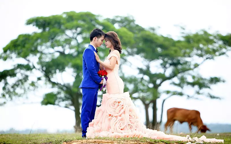 情感咨询：揭露情人节最抠门男友，没有之一