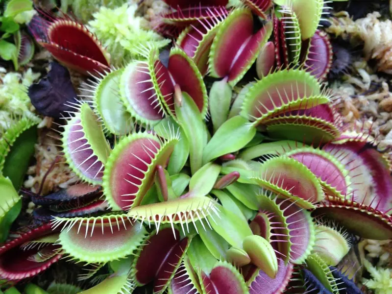 情感咨询：挽回婚姻需要智慧，更需要责任和担当