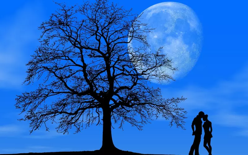 情感咨询：挽回爱情秘籍，只有内外兼修才能真正挽回成功