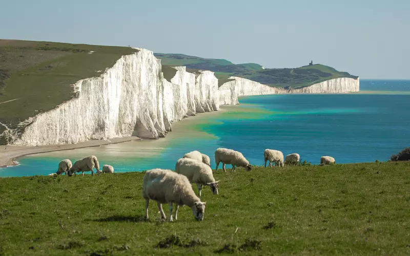 情感咨询：七招直面老公出轨