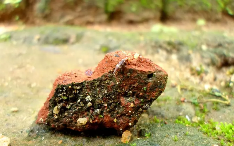 情感咨询：老公有外遇时，女人千万不要做的七件事情！