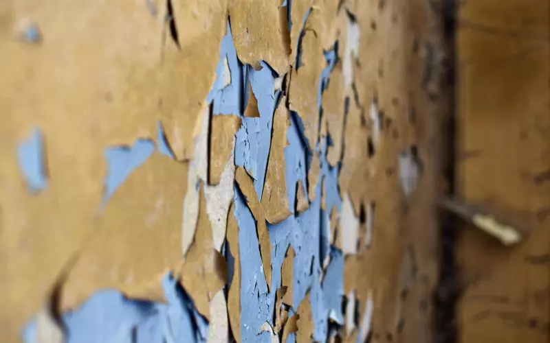 情感咨询：婚姻该不该将就？