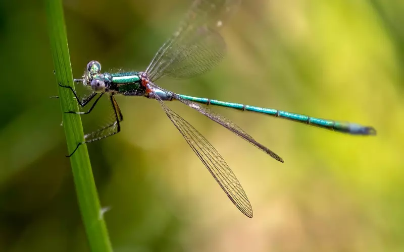 情感咨询：对前女友不负责任的男友，我该和他在一起吗？