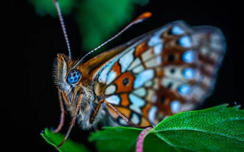 情感咨询：有钱无颜的男人，女人该不该要？