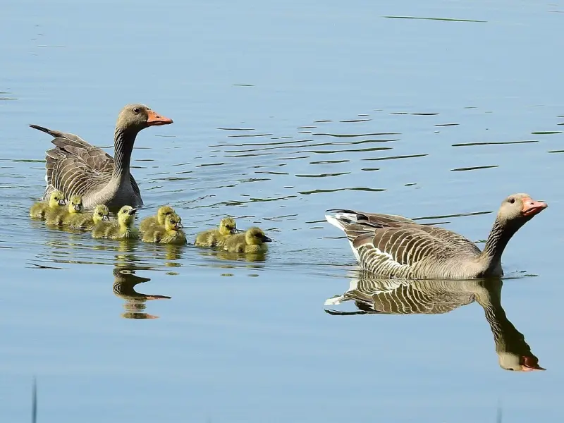 情感咨询：既然选择他那就接受他的所有