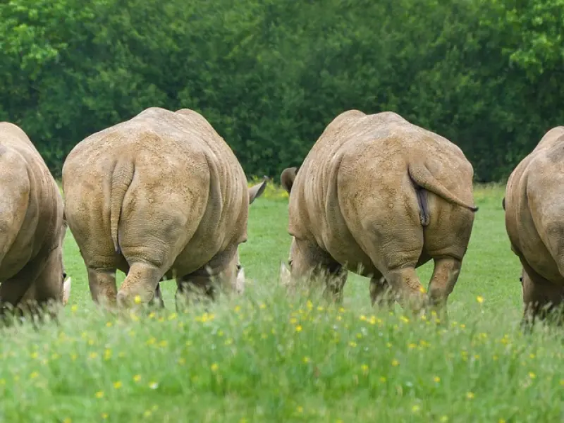 情感咨询：六个步骤教你挽回老公的心