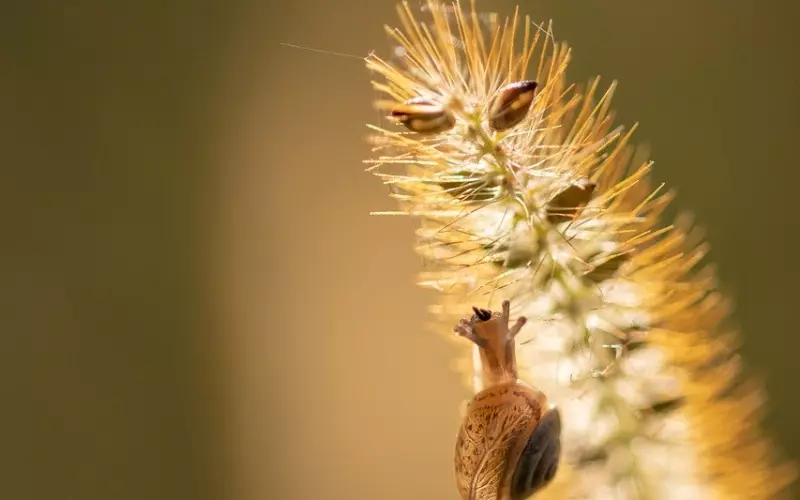 情感咨询：挽回爱情小细节决定成败