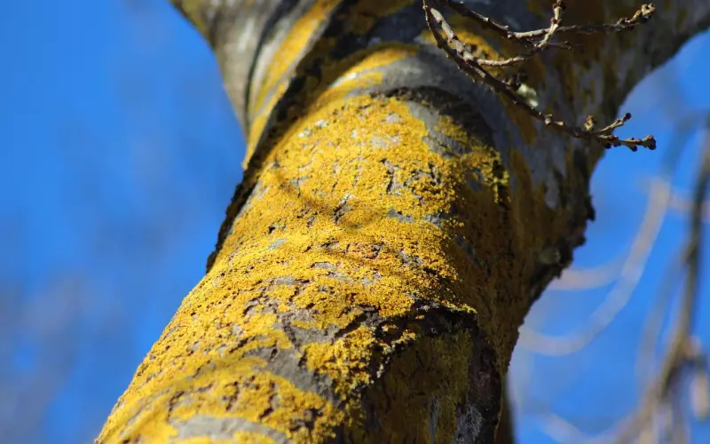 情感咨询：分手后复合调查， 52.5%情侣选择复合并走到最后