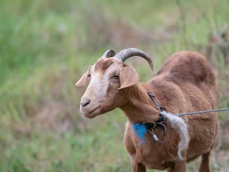 情感咨询：教你如何拴住老公的心