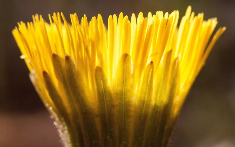 情感咨询：分手后拉黑断联复合法