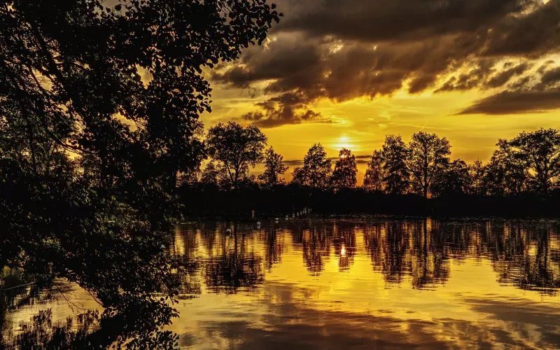 情感咨询：房产新政后离婚率升高 反思结婚意义是什么