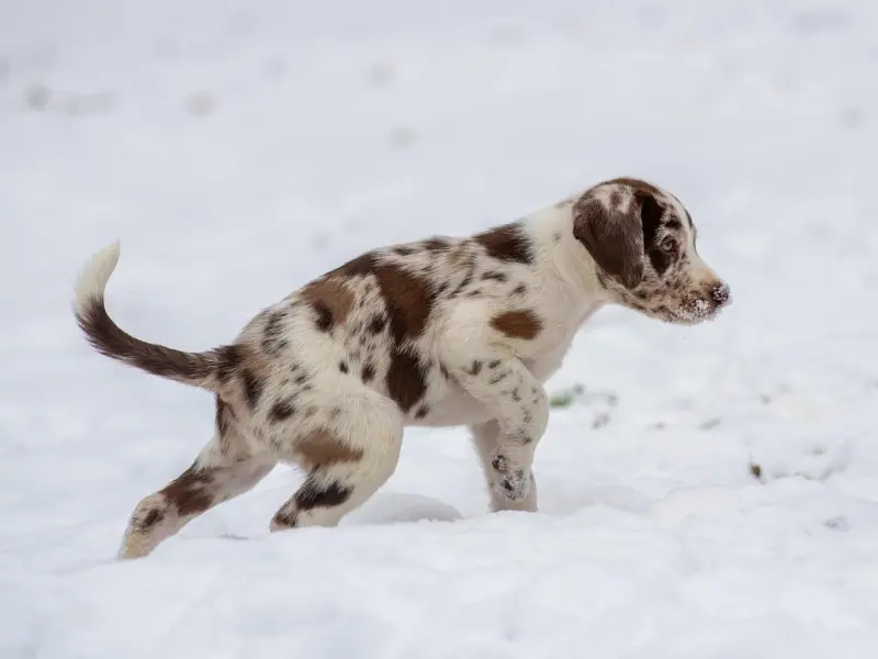 情感咨询：挽回爱情中杀伤力最大的6句话