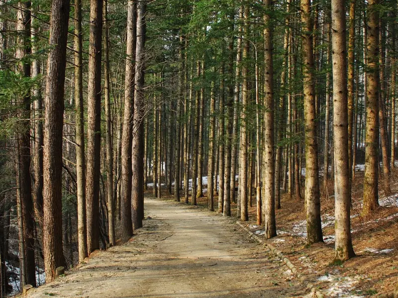 情感咨询：最渣的分手方式莫过于这种