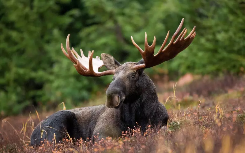 情感咨询：婚姻中需要注意的事儿