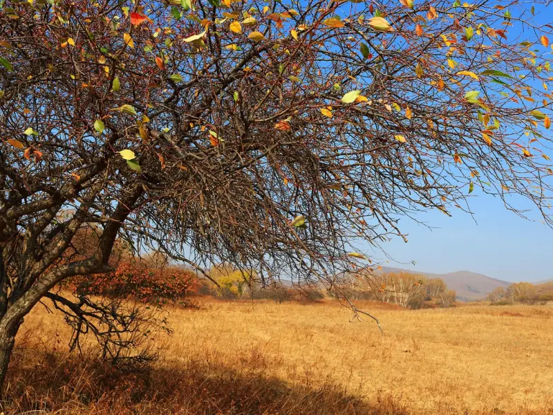 情感咨询：这才是挽回男友的正确方式