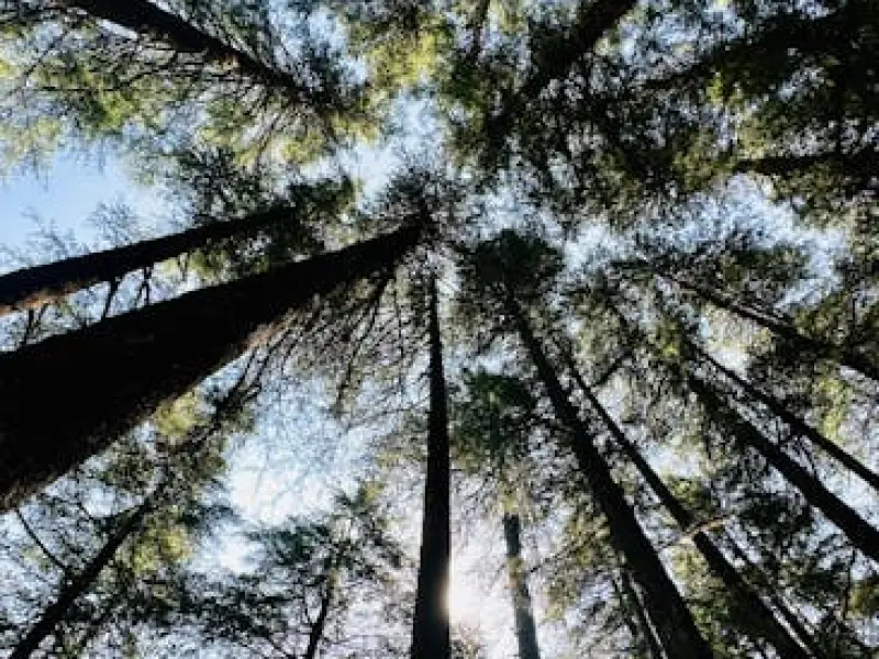 情感咨询：男人出轨易回归的三大原因