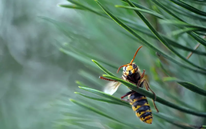 情感咨询：挽回男友需要避免三大挽回误区