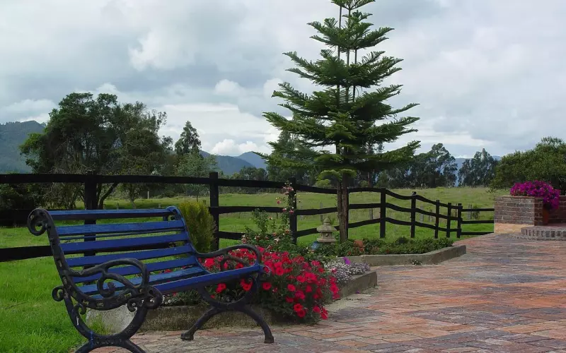 情感咨询：求复合三大禁忌