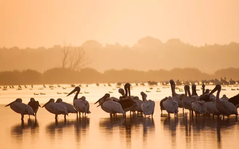 情感咨询：挽回男友技巧之如何激发男友的保护欲？