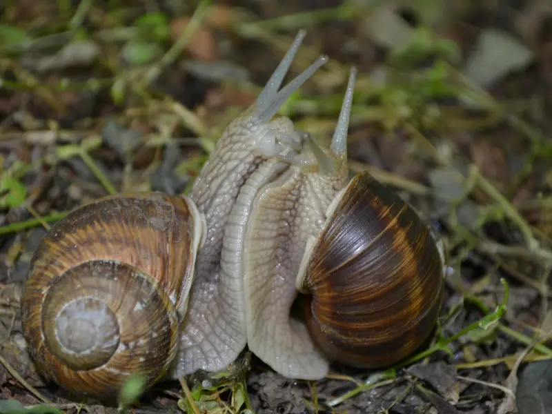 情感咨询：挽回爱情，爱对人往往比会爱人更重要