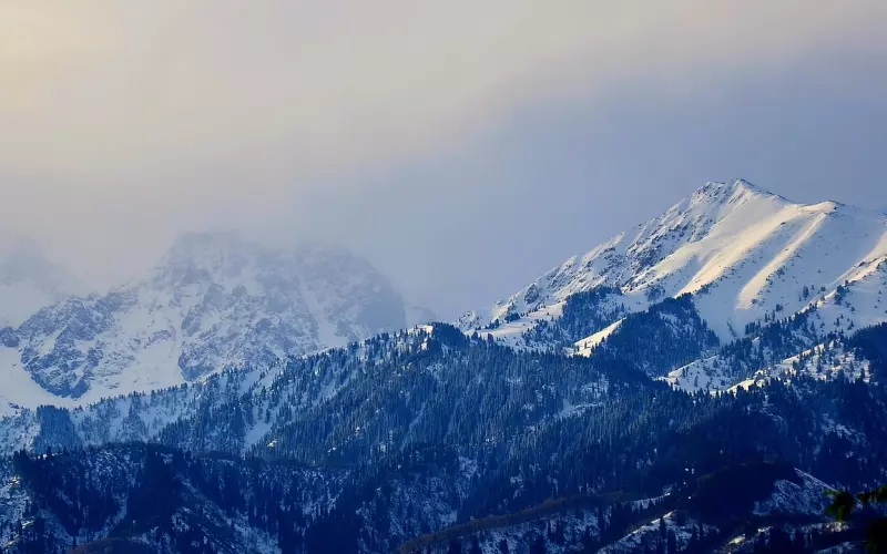 情感咨询：挽回感情要区分冷bl和冷处理