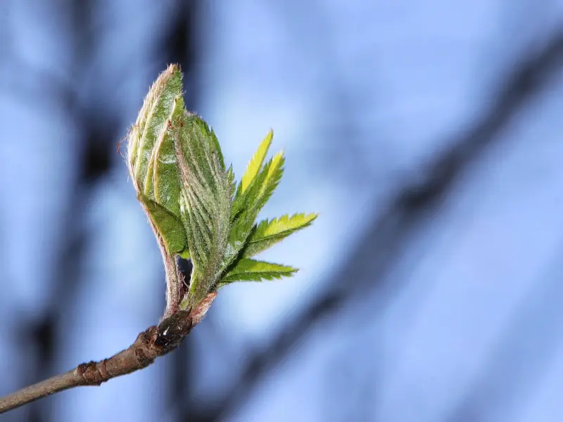 情感咨询：挽回前男友之盘点那些导致分手的原因