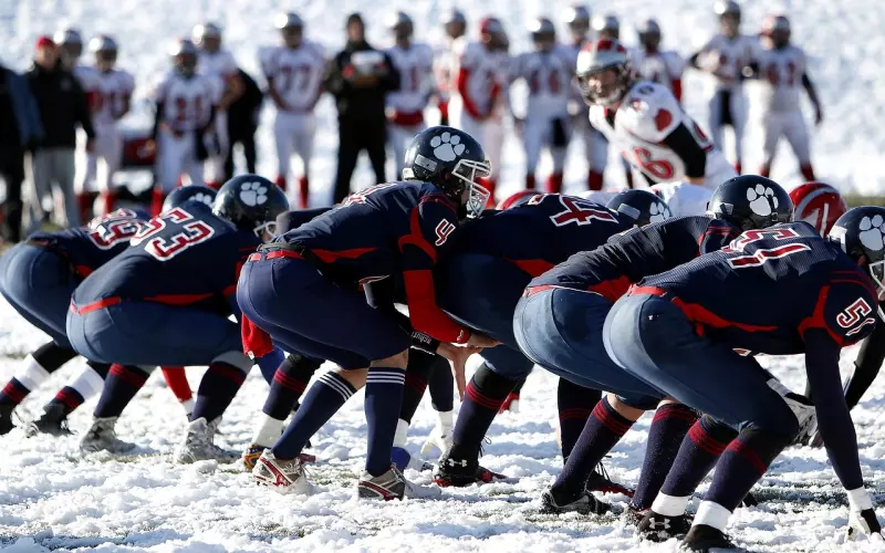 情感咨询：挽回男友需要静待时机主动进攻