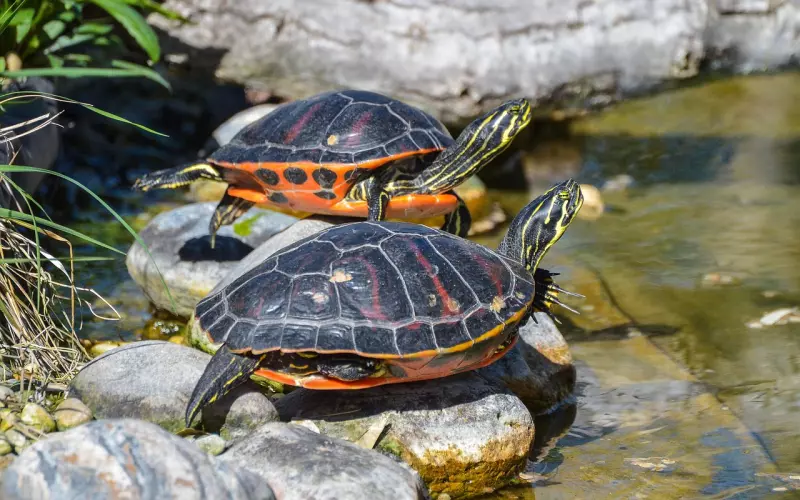 情感咨询：挽回男友要审视自己是不是在伪高位