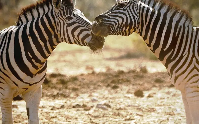 情感咨询：女生经营姐弟恋的两大误区