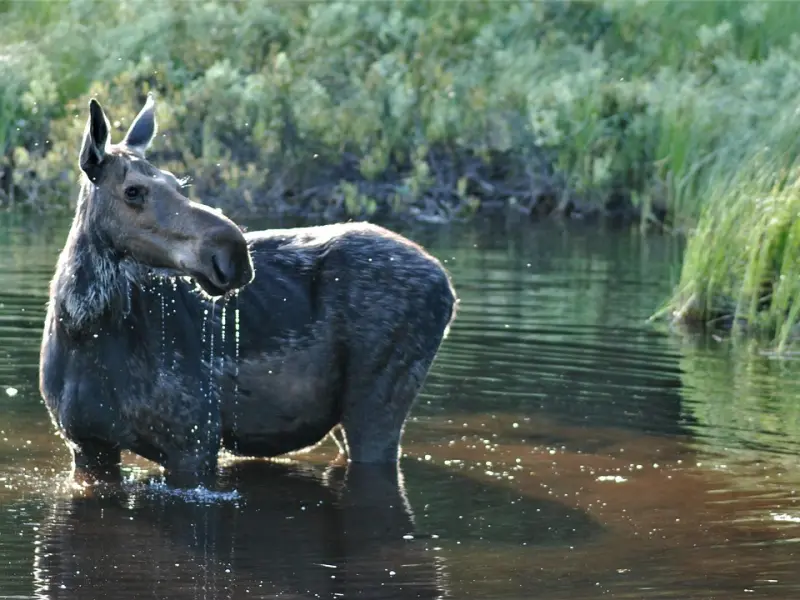 情感咨询：男友想和我分手怎么办