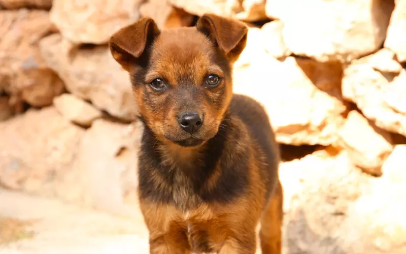 情感咨询：和老公亲热没感觉怎么办？