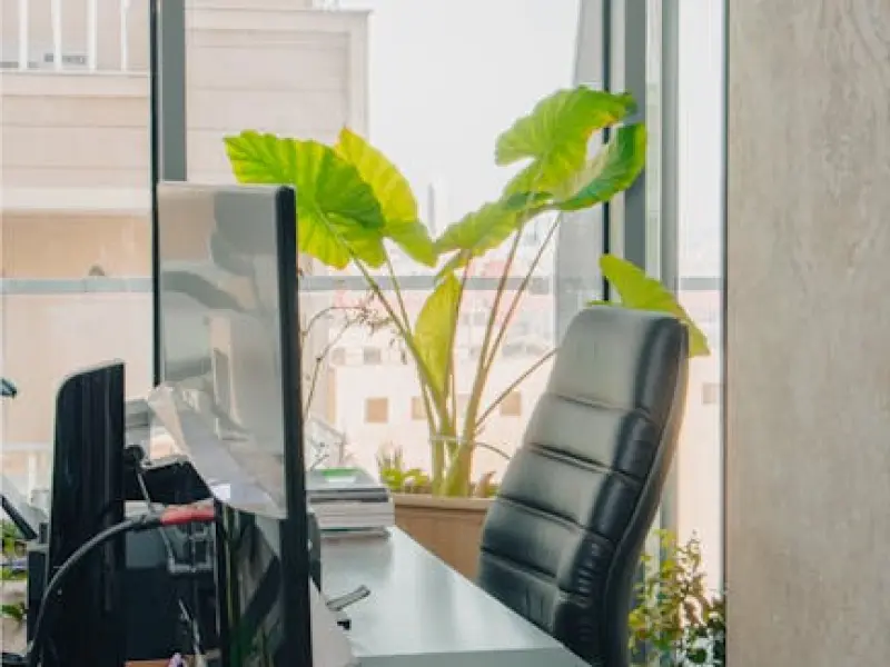 情感咨询：老公最烦你什么