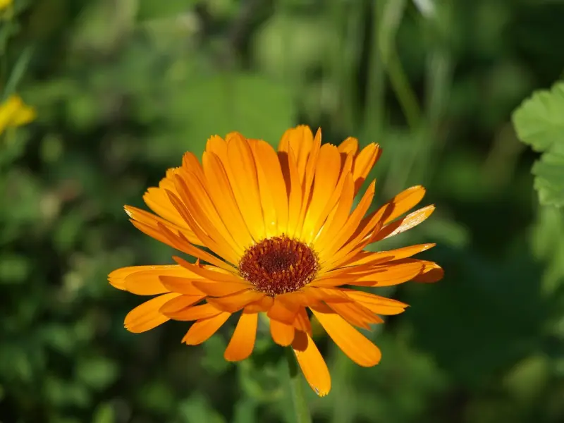 情感咨询：老公不喜欢你做什么