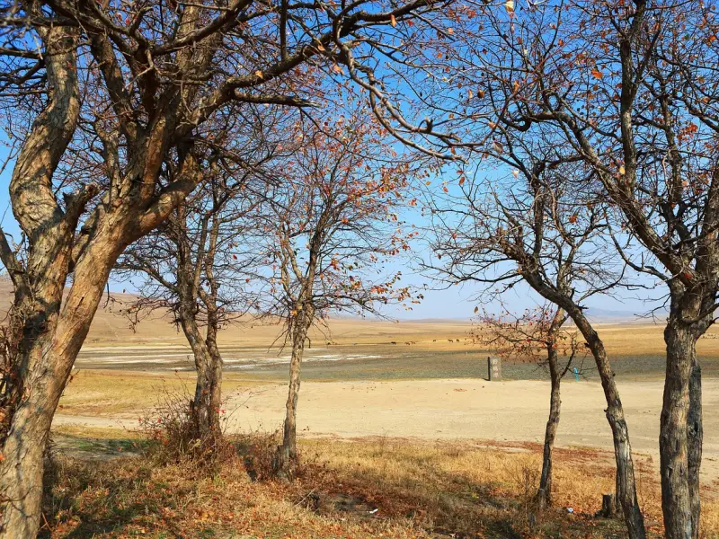 情感咨询：男人做什么拯救婚姻