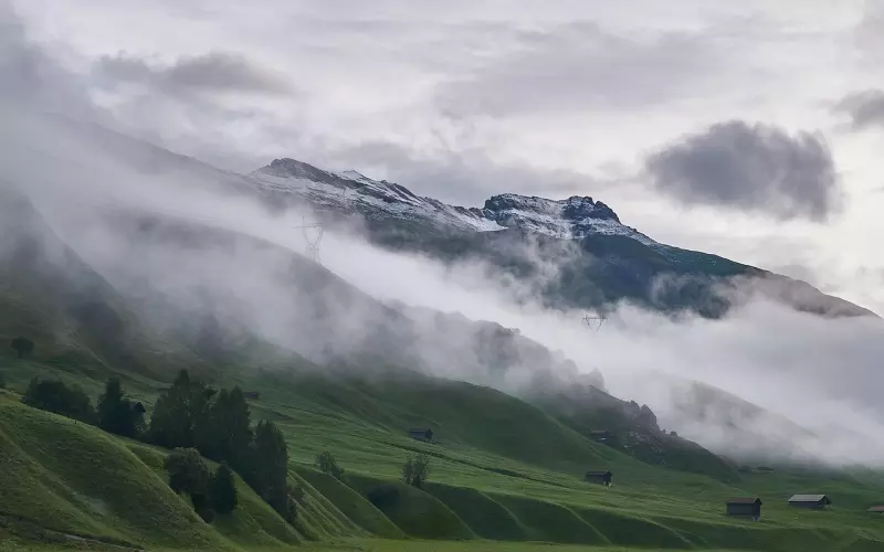 情感咨询：老公和初恋联系却对我态度恶劣怎么办