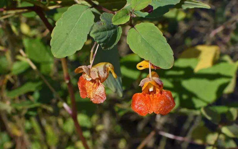 情感咨询：老公不愿意碰我怎么办？