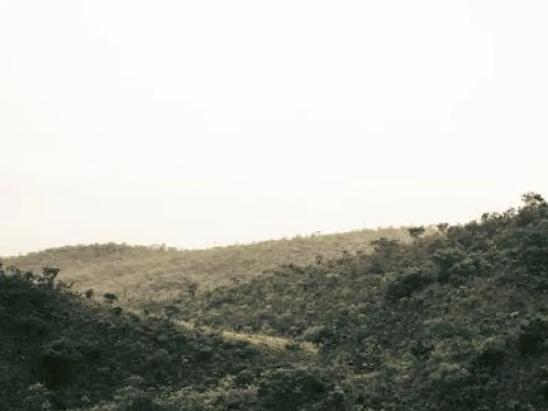 情感咨询：老公出轨离婚后想复婚怎么办