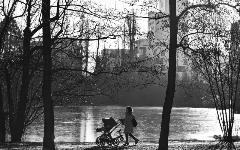 情感咨询：老公执意离婚，成为单亲妈妈的我怎么办？