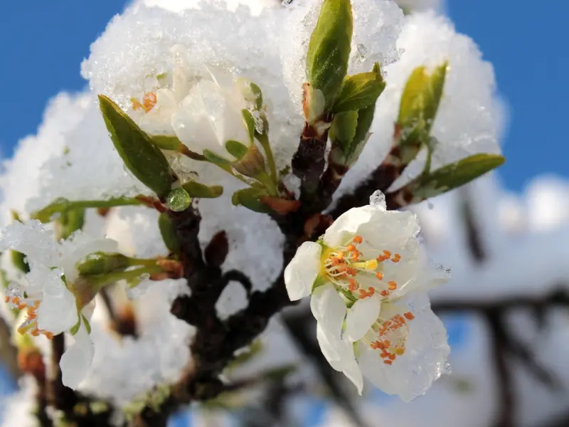 情感咨询：老公出轨了自己又放不下怎么办？