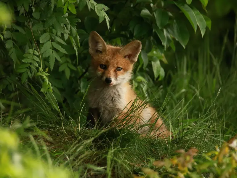 情感咨询：被老公冷落应该怎么办